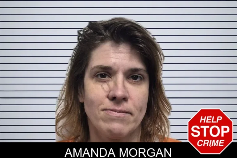 Amanda Morgan mugshot – Dade County , Georgia Amanda Morgan
