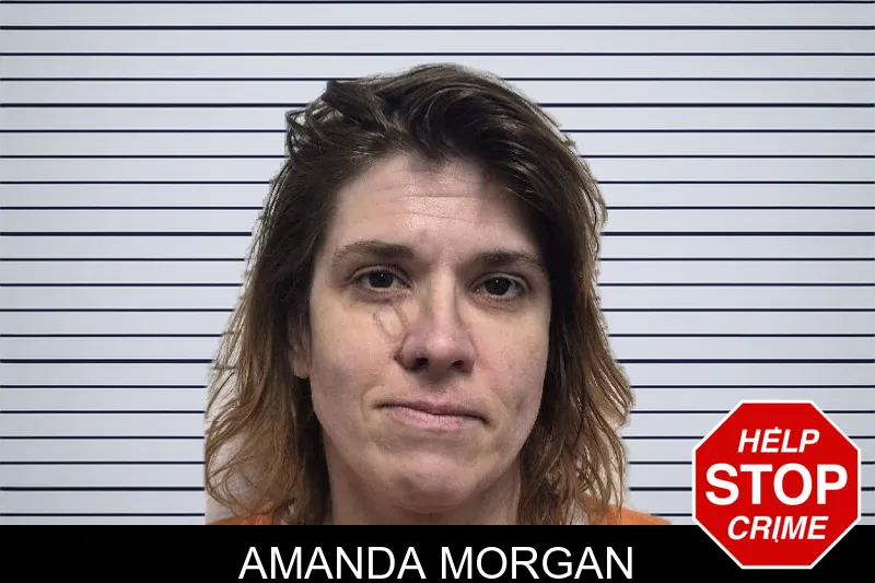 Amanda Morgan mugshot