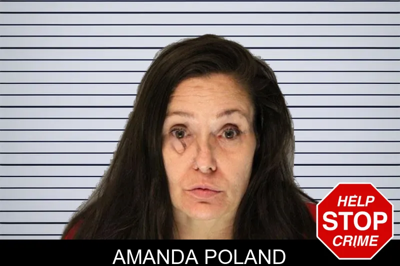Amanda Poland mugshot