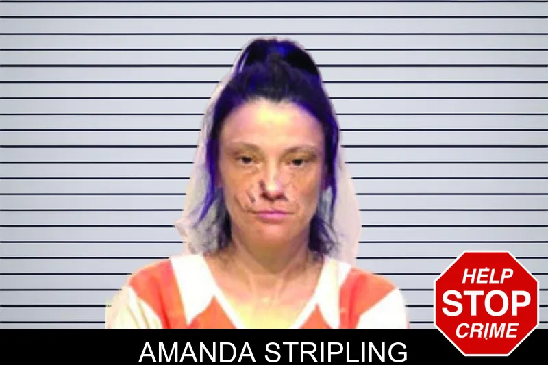 Amanda Stripling mugshot – Bartow County , Georgia Amanda Stripling mugshot