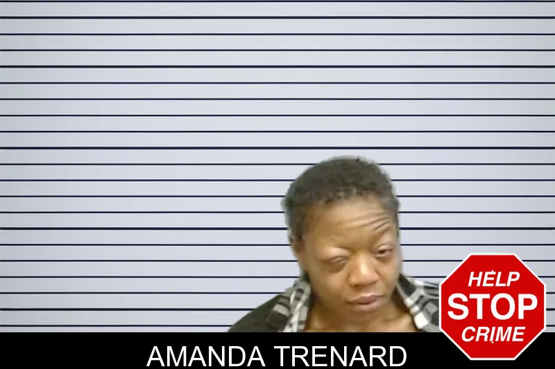 Amanda Trenard mugshot – Fulton County , Georgia Amanda Trenard mugshot
