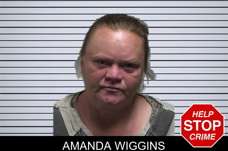 Amanda Wiggins mugshot