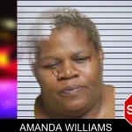 Amanda Williams mugshot – Bacon County , Georgia Amanda Williams mugshot