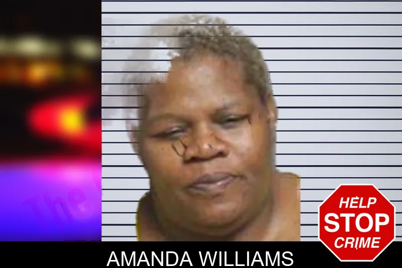 Amanda Williams mugshot