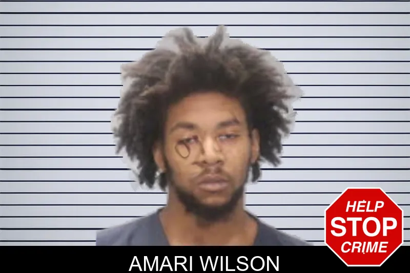 Amari Wilson mugshot