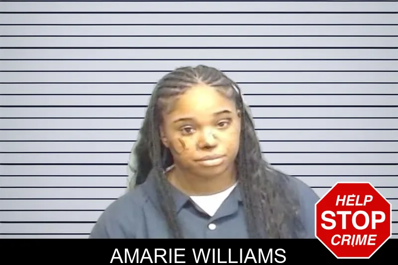 Amarie Williams mugshot – Fulton County , Georgia Amarie Williams mugshot