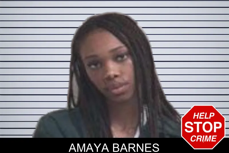 Amaya Barnes mugshot – Henry County , Georgia Amaya Barnes mugshot