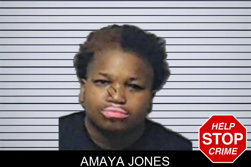 Amaya Jones mugshot – DeKalb County , Georgia Amaya Jones mugshot