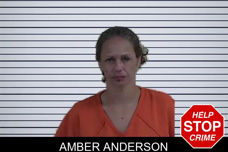 Amber Anderson mugshot – Fannin County , Georgia Amber Anderson mugshot