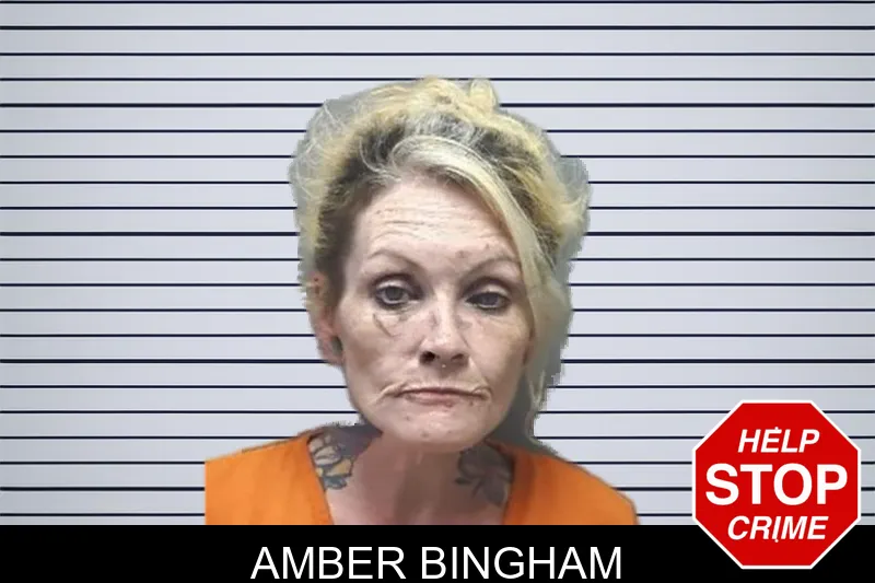 Amber Bingham mugshot