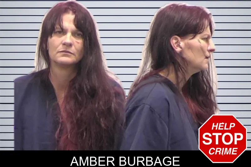 Amber Burbage mugshot