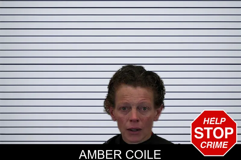 Amber Coile mugshot