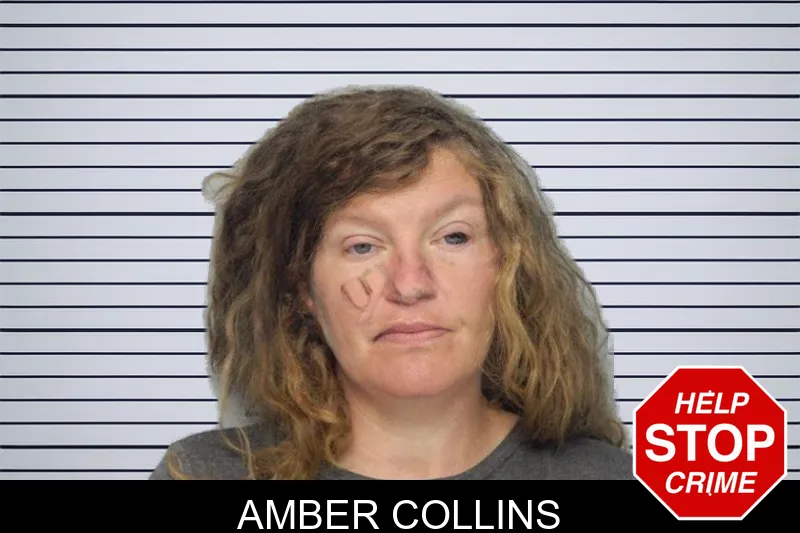 Amber Collins mugshot