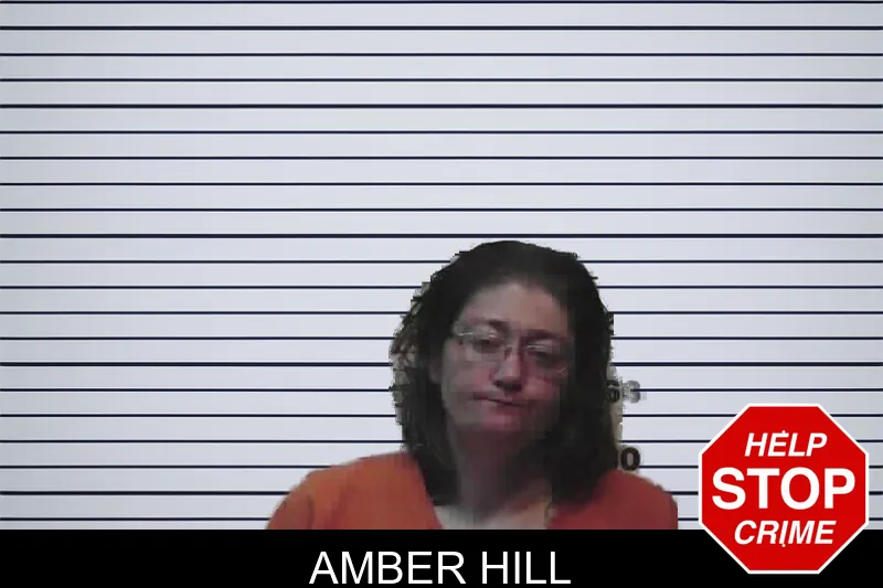 Amber Hill mugshot – Meriwether County , Georgia Amber Hill mugshot