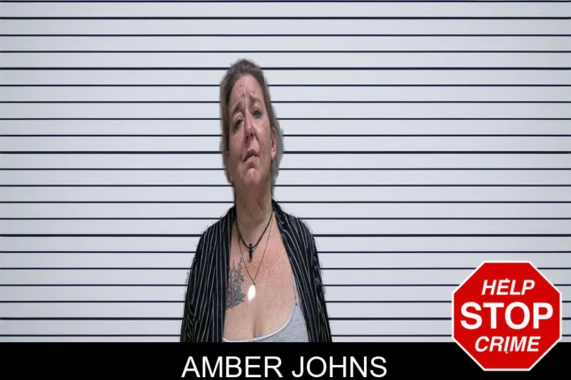 Amber Johns mugshot
