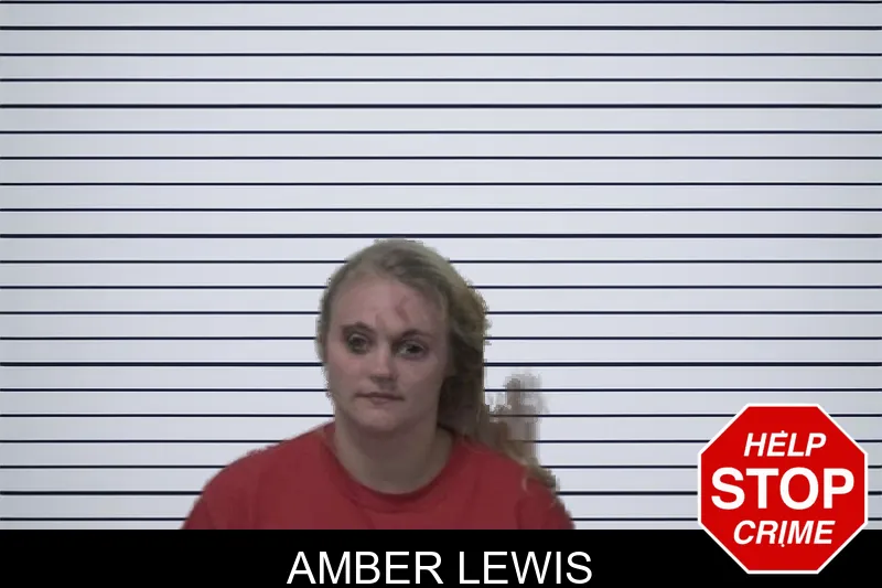 Amber Lewis mugshot