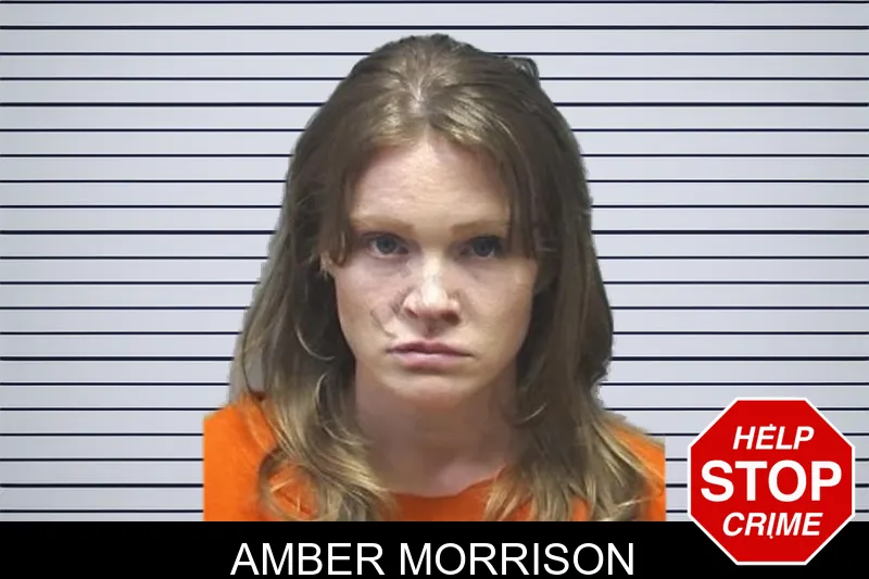 Amber Morrison mugshot
