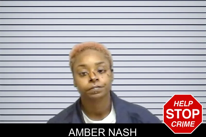 Amber Nash mugshot – Fulton County , Georgia Amber Nash mugshot