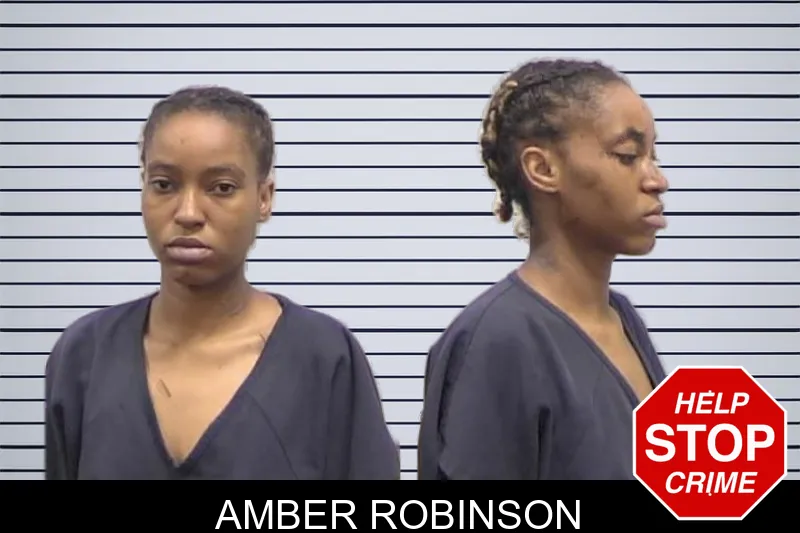 Amber Robinson mugshot