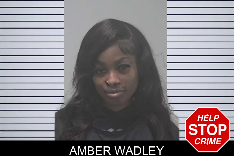 Amber Wadley mugshot – Coweta County , Georgia Amber Wadley mugshot