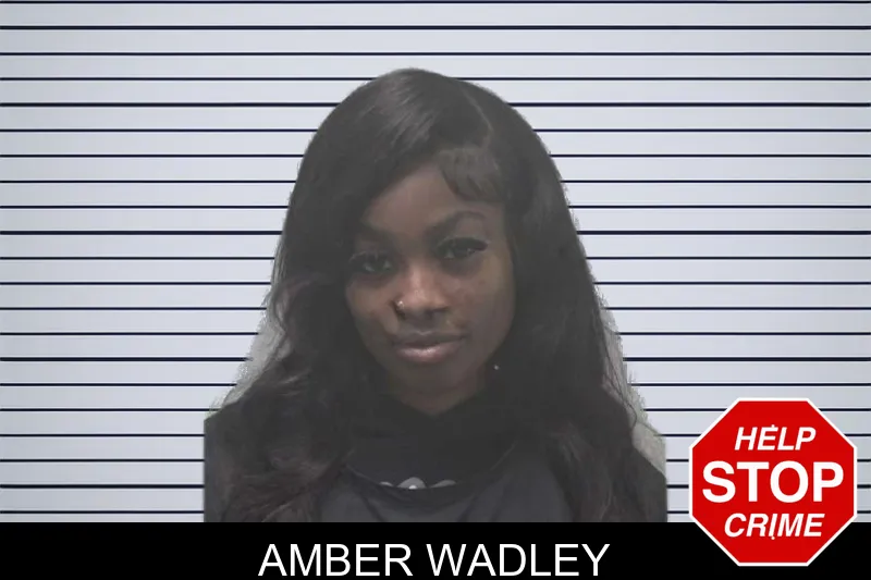 Amber Wadley mugshot – Coweta County , Georgia Amber Wadley mugshot
