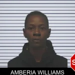 Amberia Williams mugshot