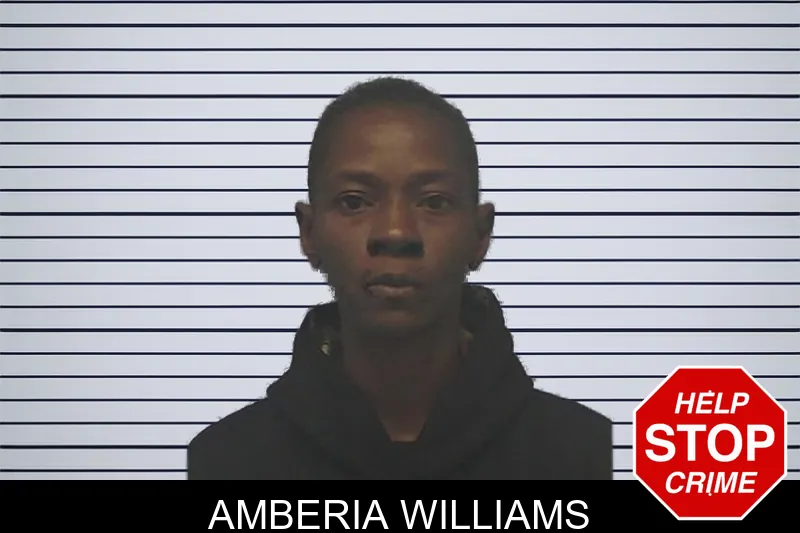 Amberia Williams mugshot