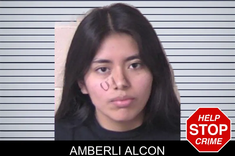 Amberli Alcon mugshot