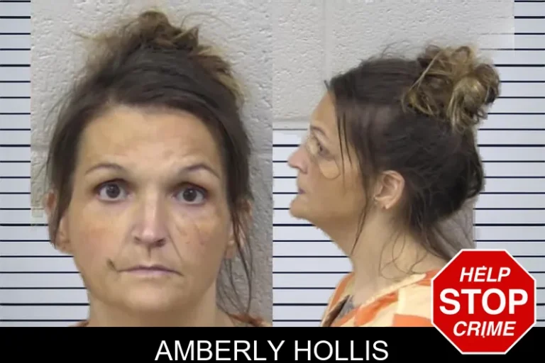 Amberly Hollis mugshot – Paulding County , Georgia Amberly Hollis