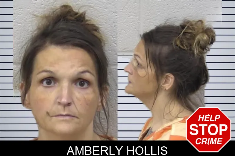 Amberly Hollis mugshot – Paulding County , Georgia Amberly Hollis mugshot