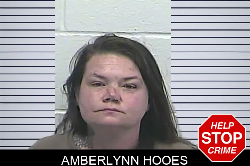 Amberlynn Hooes mugshot