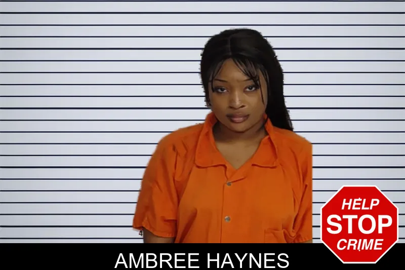 Ambree Haynes mugshot