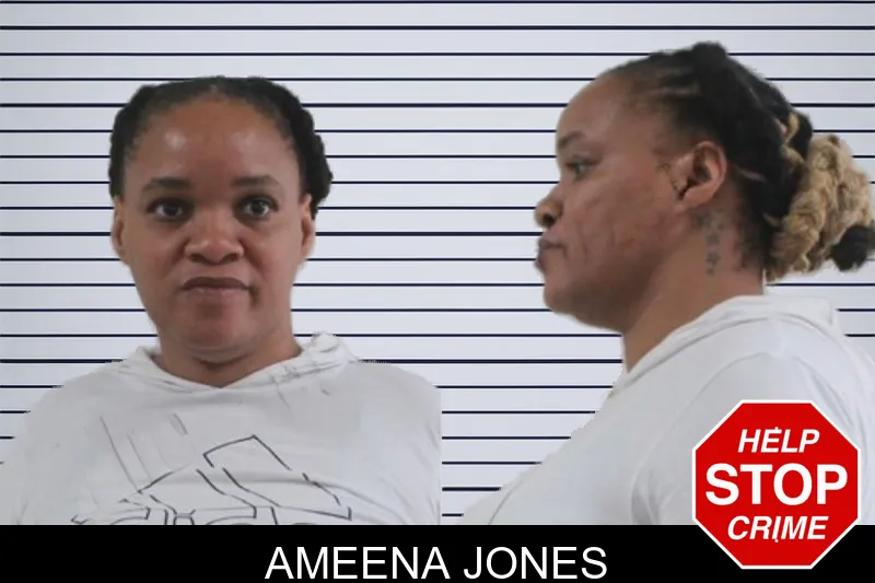 Ameena Jones mugshot – Houston County , Georgia Ameena Jones mugshot