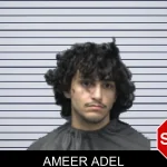 Ameer Adel mugshot