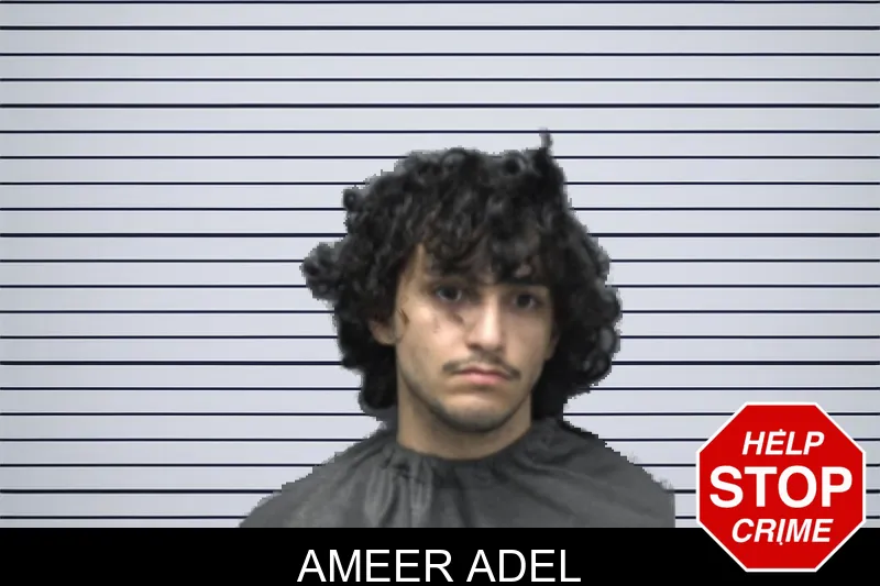 Ameer Adel mugshot