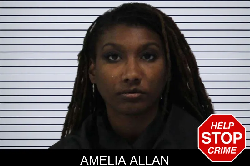 Amelia Allan mugshot – Carroll County , Georgia Amelia Allan mugshot