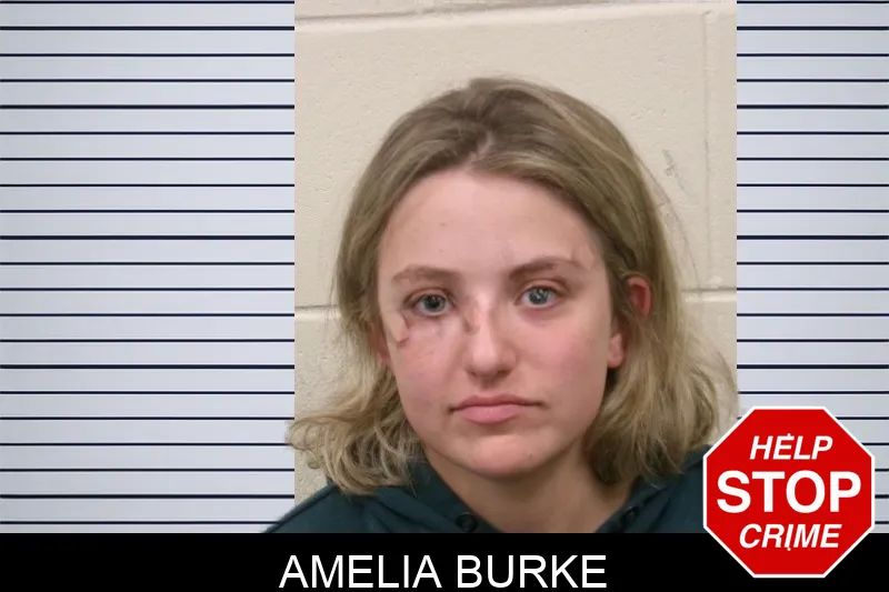 Amelia Burke mugshot
