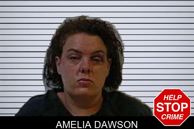 Amelia Dawson mugshot