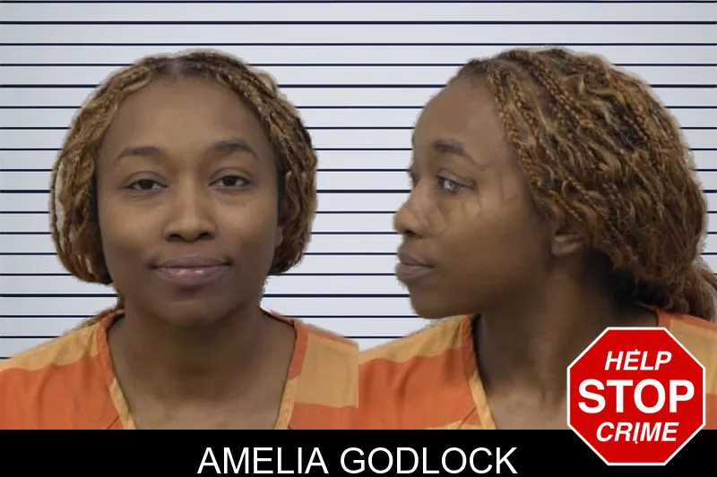 Amelia Godlock mugshot – Paulding County , Georgia Amelia Godlock mugshot