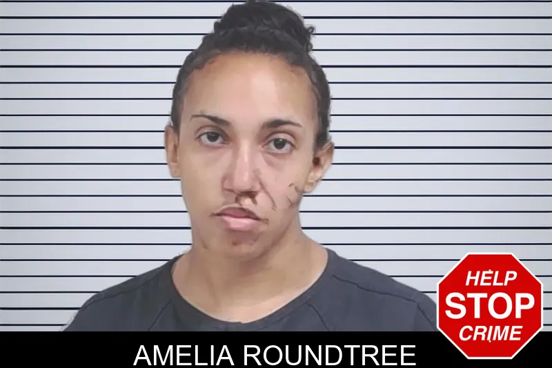 Amelia Roundtree mugshot