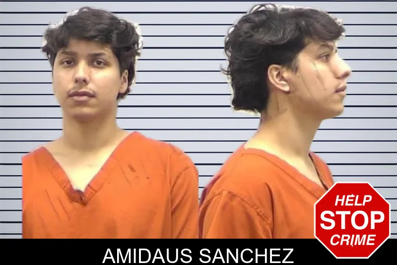 Amidaus Sanchez mugshot