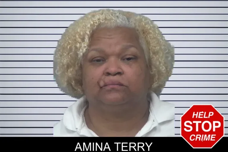 Amina Terry mugshot – Gwinnett County , Georgia Amina Terry