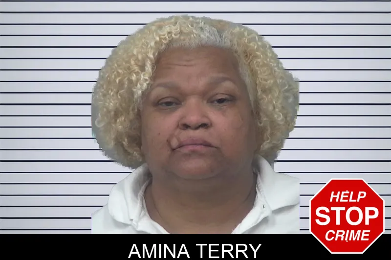 Amina Terry mugshot – Gwinnett County , Georgia Amina Terry mugshot