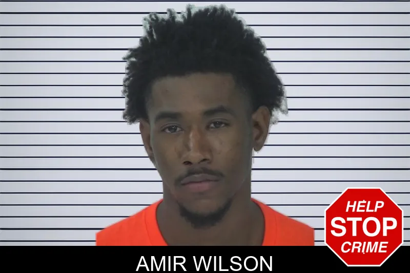 Amir Wilson mugshot