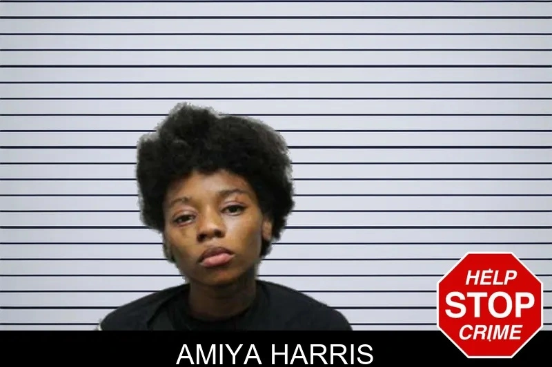 Amiya Harris mugshot – Harris County , Georgia Amiya Harris mugshot
