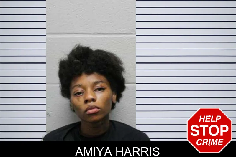 Amiya Harris mugshot