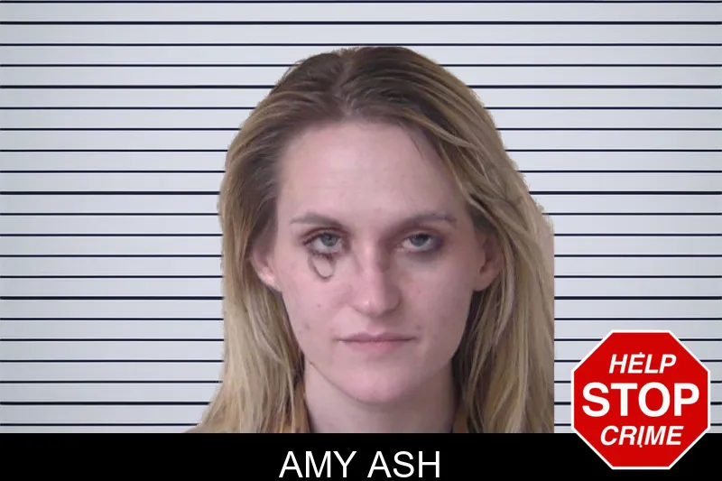 Amy Ash mugshot – Walker County , Georgia Amy Ash mugshot