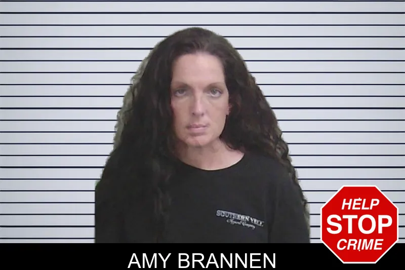 Amy Brannen mugshot – Wayne County , Georgia Amy Brannen mugshot