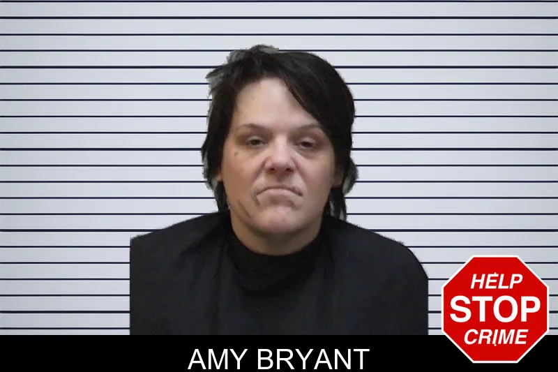 Amy Bryant mugshot