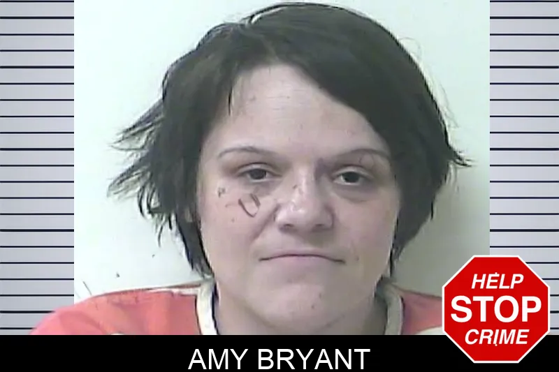 Amy Bryant mugshot